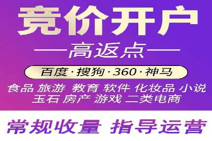 金融行业SEM服务的创新应用与效果